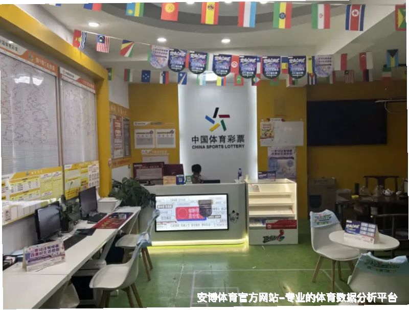 未来愿景与发展方向